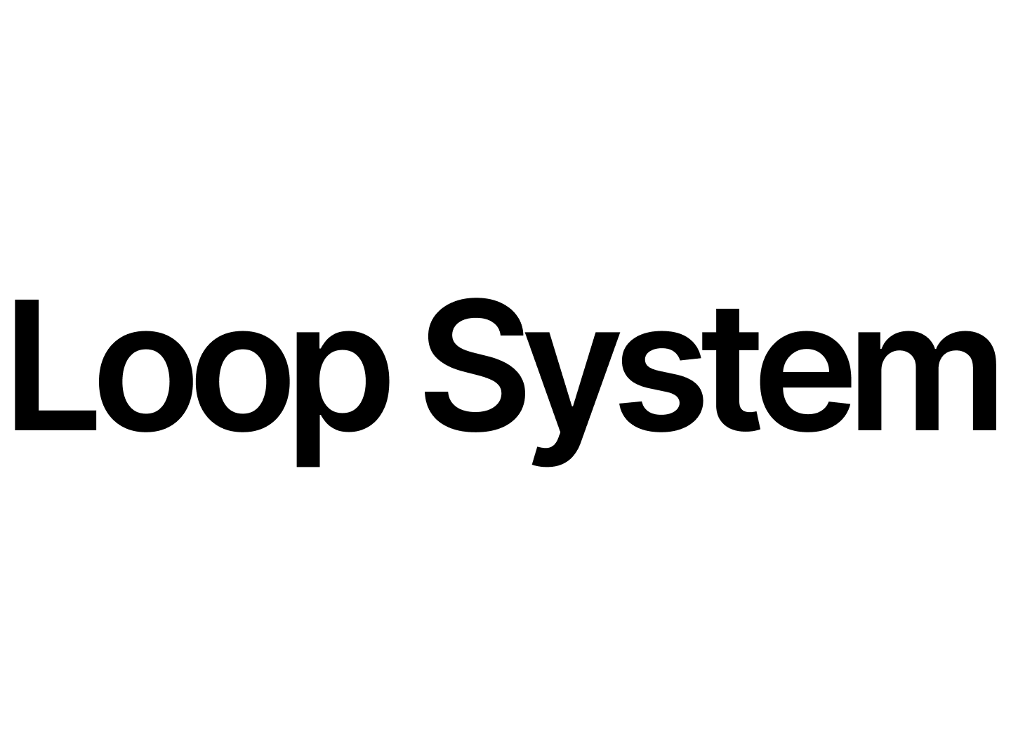 Loop System